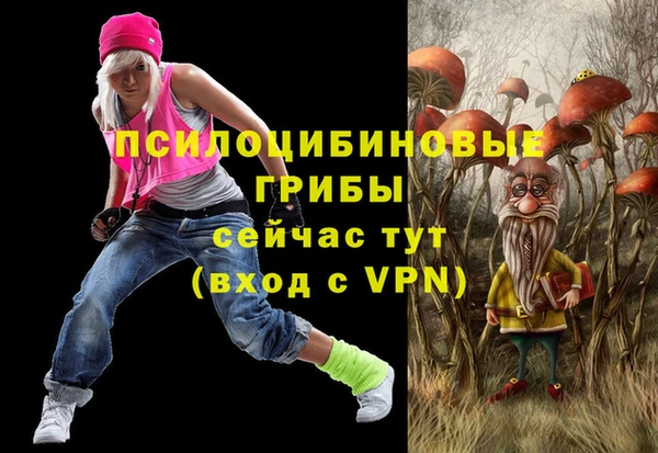 прущая мука Верхний Тагил